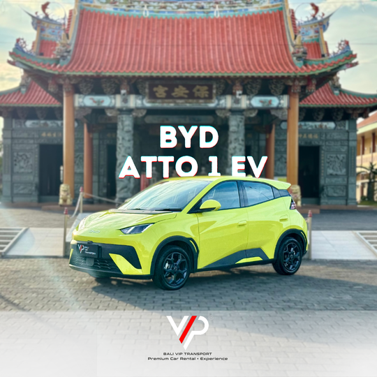 BYD ATTO 1 EV