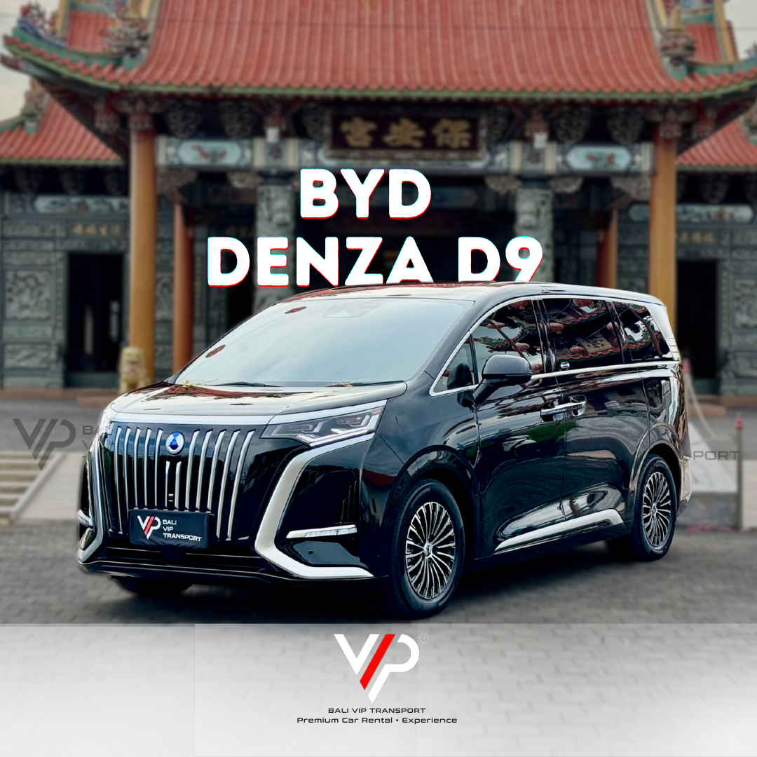 BYD DENZA D9