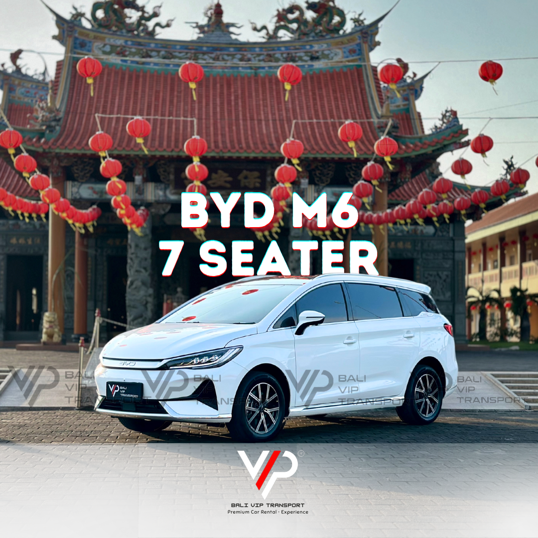 BYD M6