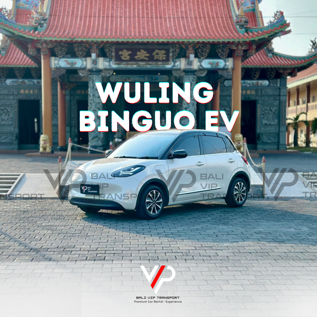 Wuling Binguo EV