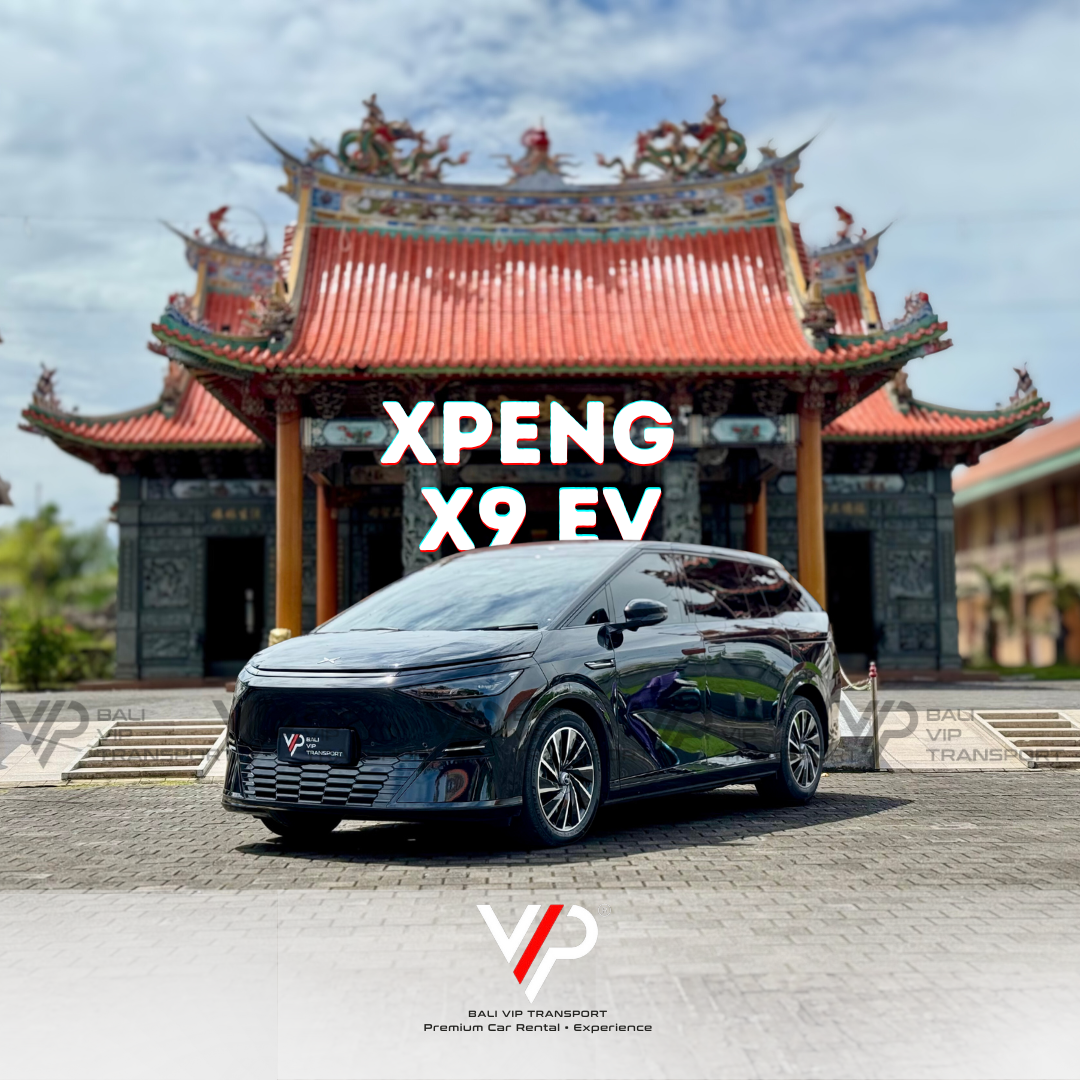 XPENG X9